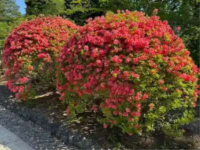 茨城縣護國神社(茨城県)