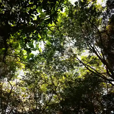 稲荷神社の自然