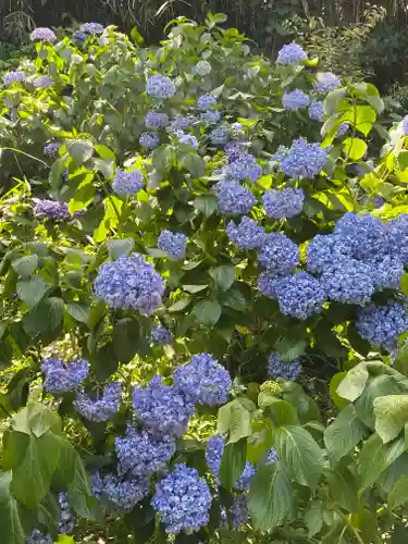 妙楽寺(神奈川県)
