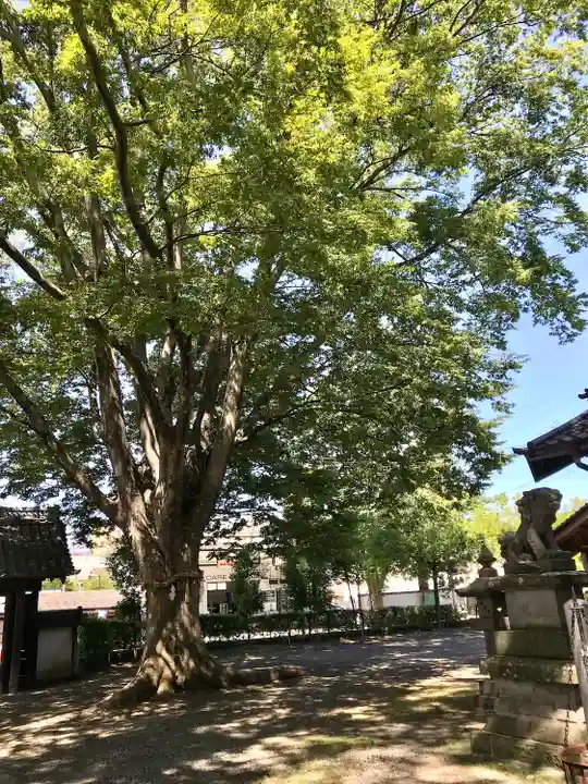 松本神社(長野県)