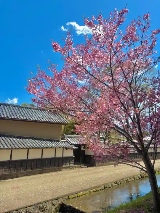 蚊里田八幡宮の{uncategorized: "未分類", other: "その他", undefined: "問題あり", building: "その他建物", grave: "お墓", sacred_gate: "鳥居", guardian: "狛犬", statue: "像", buddha: "仏像", history: "歴史", nature: "自然", garden: "庭園", animal: "動物", pagoda: "塔", temizu: "手水舎", mountain_gate: "山門・神門", sanctuary: "本殿・本堂", subordinate: "末社・摂社", art: "芸術", scenery: "景色", jizo: "地蔵", ema: "絵馬", goshuin: "御朱印", omikuji: "おみくじ", items: "授与品その他", amulet: "お守り", goshuincho: "御朱印帳", eats: "食事", festival: "お祭り", votive_dance: "神楽", shichigosan: "七五三参", wedding: "結婚式", experience: "体験その他", initially: "初詣", around: "周辺", anti_infection: "感染症対策"}