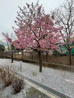 朝日氷川神社(埼玉県)