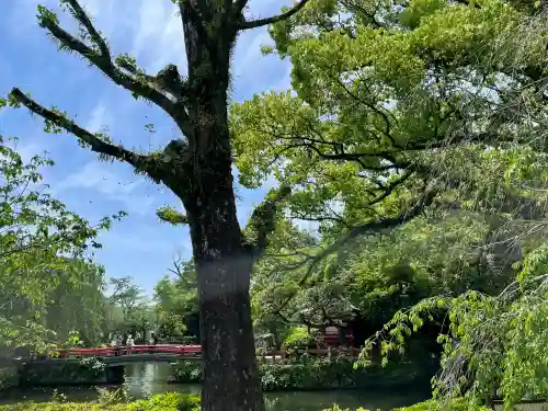 三嶋大社の{uncategorized: "未分類", other: "その他", undefined: "問題あり", building: "その他建物", grave: "お墓", sacred_gate: "鳥居", guardian: "狛犬", statue: "像", buddha: "仏像", history: "歴史", nature: "自然", garden: "庭園", animal: "動物", pagoda: "塔", temizu: "手水舎", mountain_gate: "山門・神門", sanctuary: "本殿・本堂", subordinate: "末社・摂社", art: "芸術", scenery: "景色", jizo: "地蔵", ema: "絵馬", goshuin: "御朱印", omikuji: "おみくじ", items: "授与品その他", amulet: "お守り", goshuincho: "御朱印帳", eats: "食事", festival: "お祭り", votive_dance: "神楽", shichigosan: "七五三参", wedding: "結婚式", experience: "体験その他", initially: "初詣", around: "周辺", anti_infection: "感染症対策"}