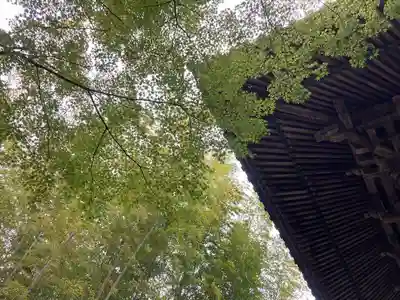 修禅寺(静岡県)