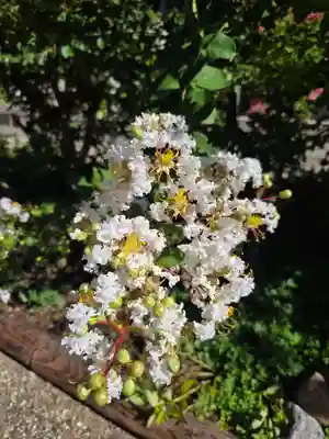 沙沙貴神社(滋賀県)