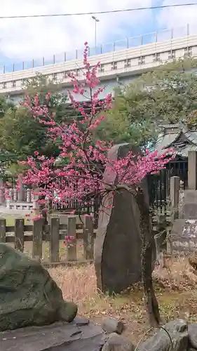 三囲神社の庭園