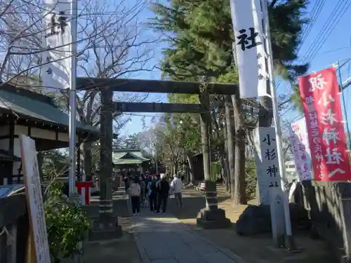 小杉神社(神奈川県)