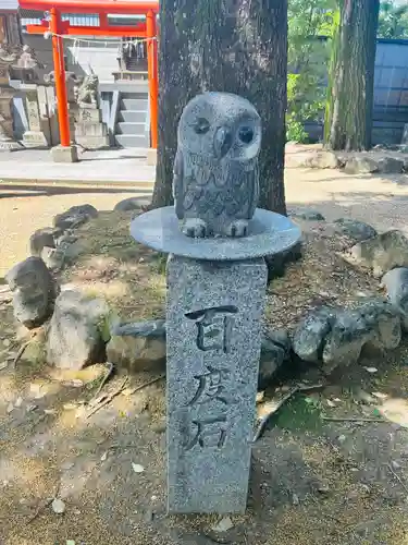 髙牟神社の狛犬