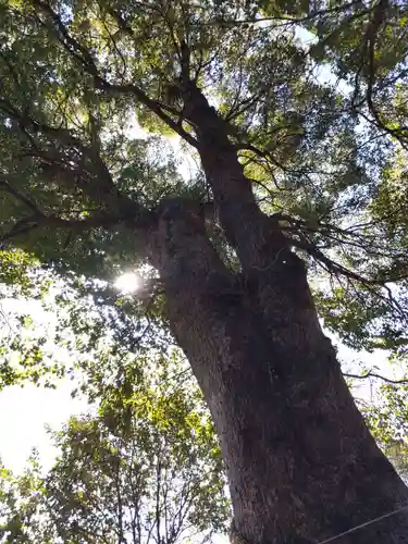 細江神社(静岡県)