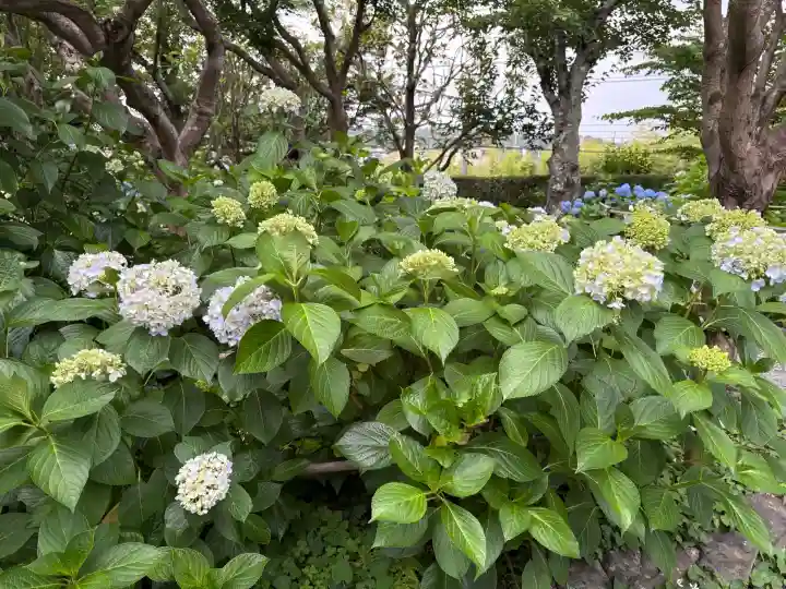 頼光寺(兵庫県)