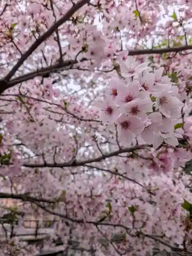 東光寺(東京都)