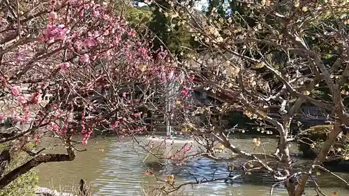 太宰府天満宮の庭園