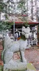 志賀理和氣神社の狛犬