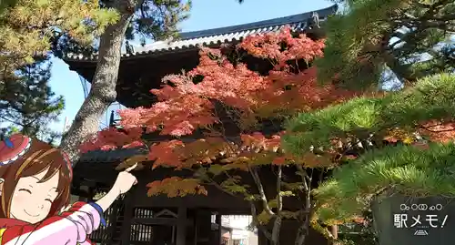 泉岳寺の山門・神門