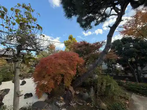 蓮華寺(東京都)