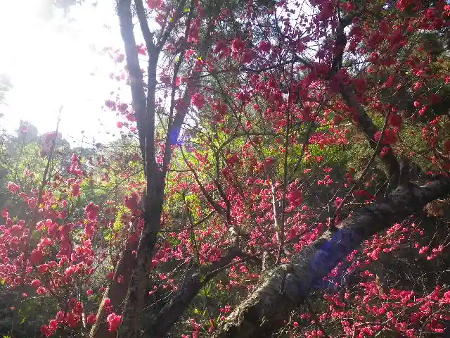 御霊神社の景色