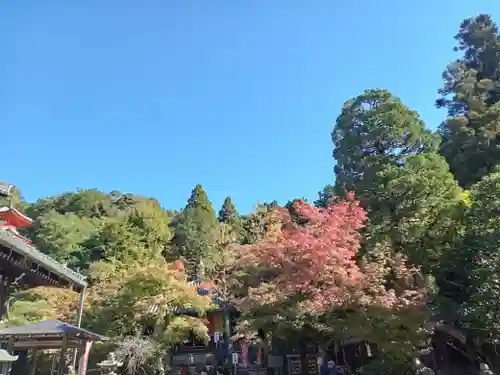 今熊野観音寺(京都府)