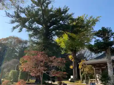 醫光寺のその他建物