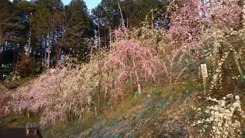 大縣神社の庭園