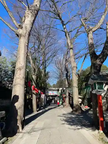 田無神社の自然