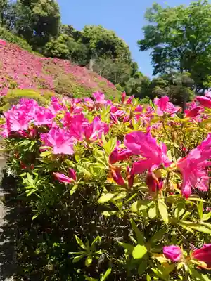 仏行寺（佛行寺）(神奈川県)