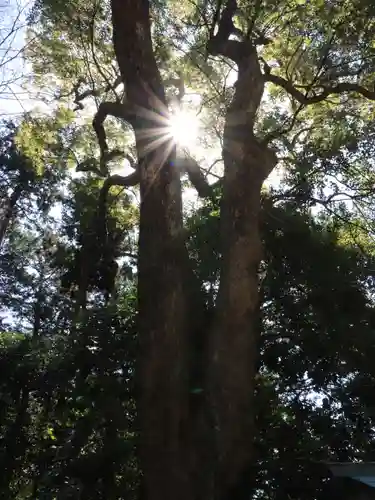 久能山東照宮(静岡県)