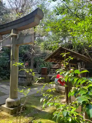 赤坂氷川神社(東京都)