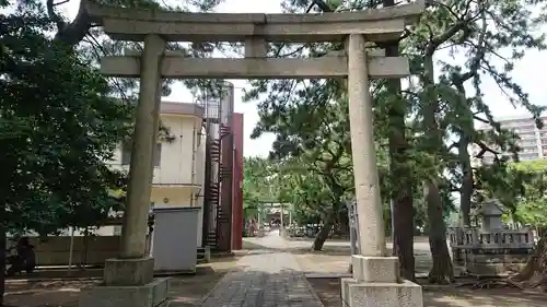 平塚三嶋神社の鳥居