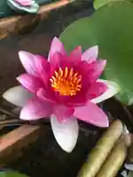 宝壽山 吉祥院の自然