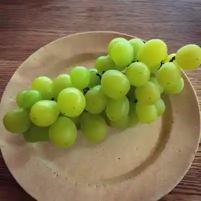 滑川神社 - 仕事と子どもの守り神の食事