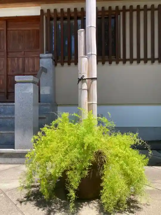 長専院不動寺(出世不動尊)(東京都)