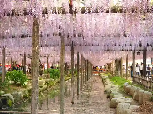 津島神社の庭園