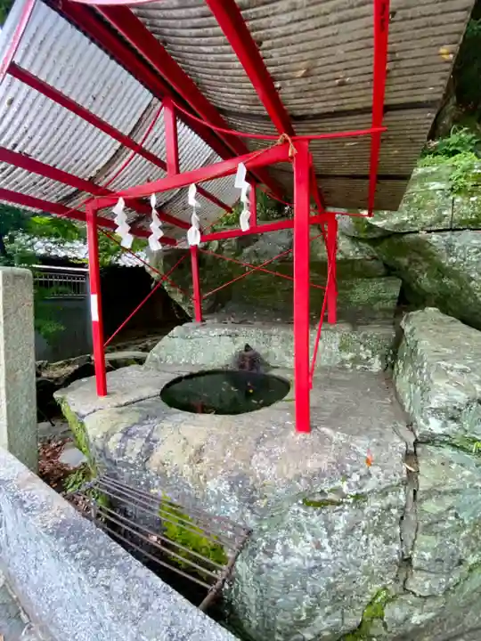 金刀比羅神社(徳島県)