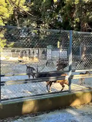 鹿島神宮(茨城県)