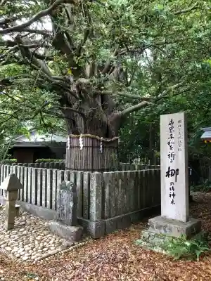 熊野速玉大社の{uncategorized: "未分類", other: "その他", undefined: "問題あり", building: "その他建物", grave: "お墓", sacred_gate: "鳥居", guardian: "狛犬", statue: "像", buddha: "仏像", history: "歴史", nature: "自然", garden: "庭園", animal: "動物", pagoda: "塔", temizu: "手水舎", mountain_gate: "山門・神門", sanctuary: "本殿・本堂", subordinate: "末社・摂社", art: "芸術", scenery: "景色", jizo: "地蔵", ema: "絵馬", goshuin: "御朱印", omikuji: "おみくじ", items: "授与品その他", amulet: "お守り", goshuincho: "御朱印帳", eats: "食事", festival: "お祭り", votive_dance: "神楽", shichigosan: "七五三参", wedding: "結婚式", experience: "体験その他", initially: "初詣", around: "周辺", anti_infection: "感染症対策"}