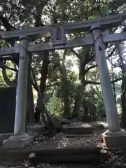 浅間神社の鳥居