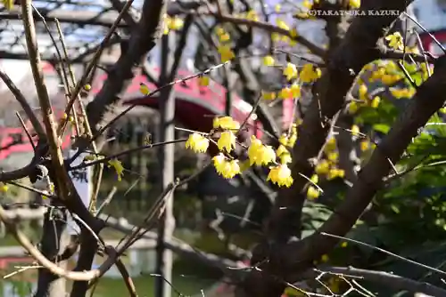 亀戸天神社(東京都)