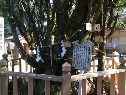 幣立神宮(熊本県)