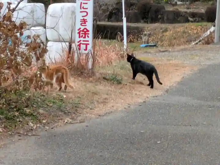 白鬚神社の{uncategorized: "未分類", other: "その他", undefined: "問題あり", building: "その他建物", grave: "お墓", sacred_gate: "鳥居", guardian: "狛犬", statue: "像", buddha: "仏像", history: "歴史", nature: "自然", garden: "庭園", animal: "動物", pagoda: "塔", temizu: "手水舎", mountain_gate: "山門・神門", sanctuary: "本殿・本堂", subordinate: "末社・摂社", art: "芸術", scenery: "景色", jizo: "地蔵", ema: "絵馬", goshuin: "御朱印", omikuji: "おみくじ", items: "授与品その他", amulet: "お守り", goshuincho: "御朱印帳", eats: "食事", festival: "お祭り", votive_dance: "神楽", shichigosan: "七五三参", wedding: "結婚式", experience: "体験その他", initially: "初詣", around: "周辺", anti_infection: "感染症対策"}