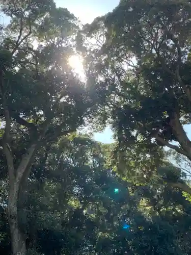 大甕神社の自然