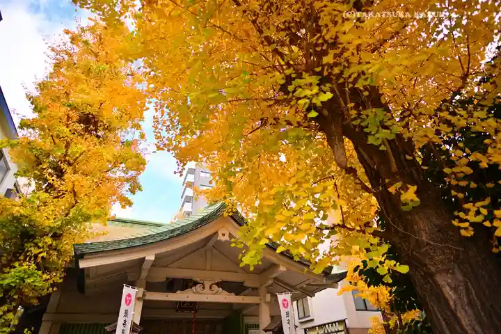 銀杏岡八幡神社(東京都)