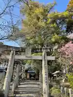 天降神社の鳥居