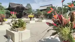 仁和寺の芸術