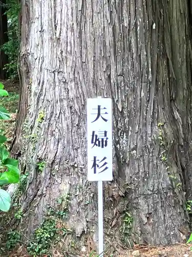 山倉大神(千葉県)