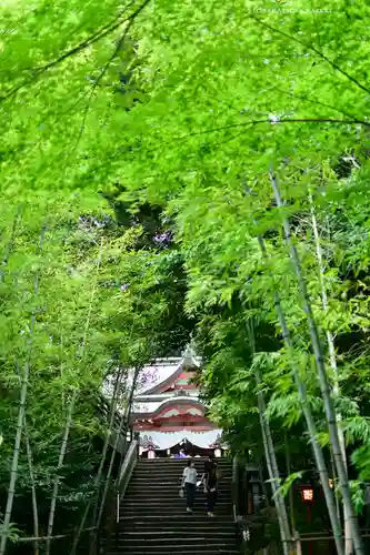 來宮神社(静岡県)
