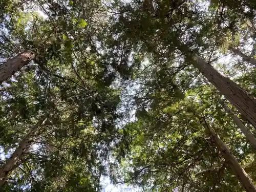 熊野神社の自然