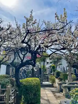 西念寺の{uncategorized: "未分類", other: "その他", undefined: "問題あり", building: "その他建物", grave: "お墓", sacred_gate: "鳥居", guardian: "狛犬", statue: "像", buddha: "仏像", history: "歴史", nature: "自然", garden: "庭園", animal: "動物", pagoda: "塔", temizu: "手水舎", mountain_gate: "山門・神門", sanctuary: "本殿・本堂", subordinate: "末社・摂社", art: "芸術", scenery: "景色", jizo: "地蔵", ema: "絵馬", goshuin: "御朱印", omikuji: "おみくじ", items: "授与品その他", amulet: "お守り", goshuincho: "御朱印帳", eats: "食事", festival: "お祭り", votive_dance: "神楽", shichigosan: "七五三参", wedding: "結婚式", experience: "体験その他", initially: "初詣", around: "周辺", anti_infection: "感染症対策"}