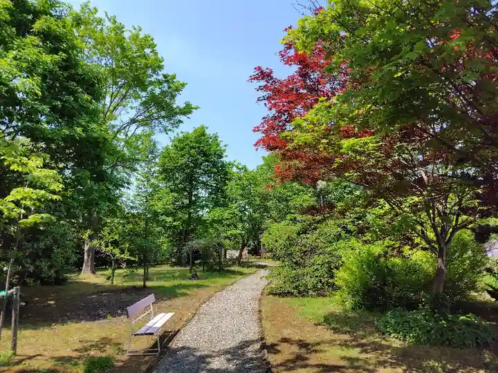 美瑛神社の自然