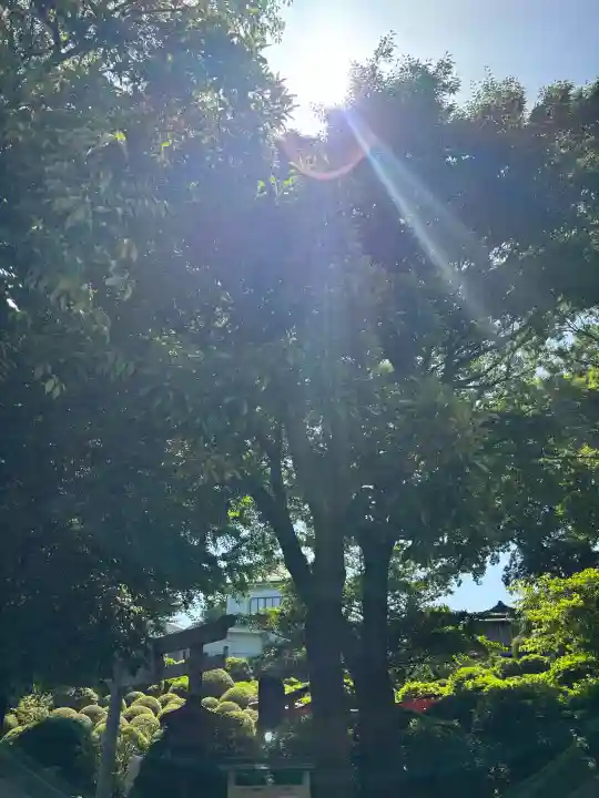根津神社の{uncategorized: "未分類", other: "その他", undefined: "問題あり", building: "その他建物", grave: "お墓", sacred_gate: "鳥居", guardian: "狛犬", statue: "像", buddha: "仏像", history: "歴史", nature: "自然", garden: "庭園", animal: "動物", pagoda: "塔", temizu: "手水舎", mountain_gate: "山門・神門", sanctuary: "本殿・本堂", subordinate: "末社・摂社", art: "芸術", scenery: "景色", jizo: "地蔵", ema: "絵馬", goshuin: "御朱印", omikuji: "おみくじ", items: "授与品その他", amulet: "お守り", goshuincho: "御朱印帳", eats: "食事", festival: "お祭り", votive_dance: "神楽", shichigosan: "七五三参", wedding: "結婚式", experience: "体験その他", initially: "初詣", around: "周辺", anti_infection: "感染症対策"}