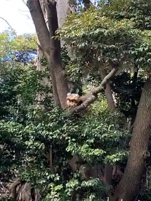 国府台天満宮(千葉県)